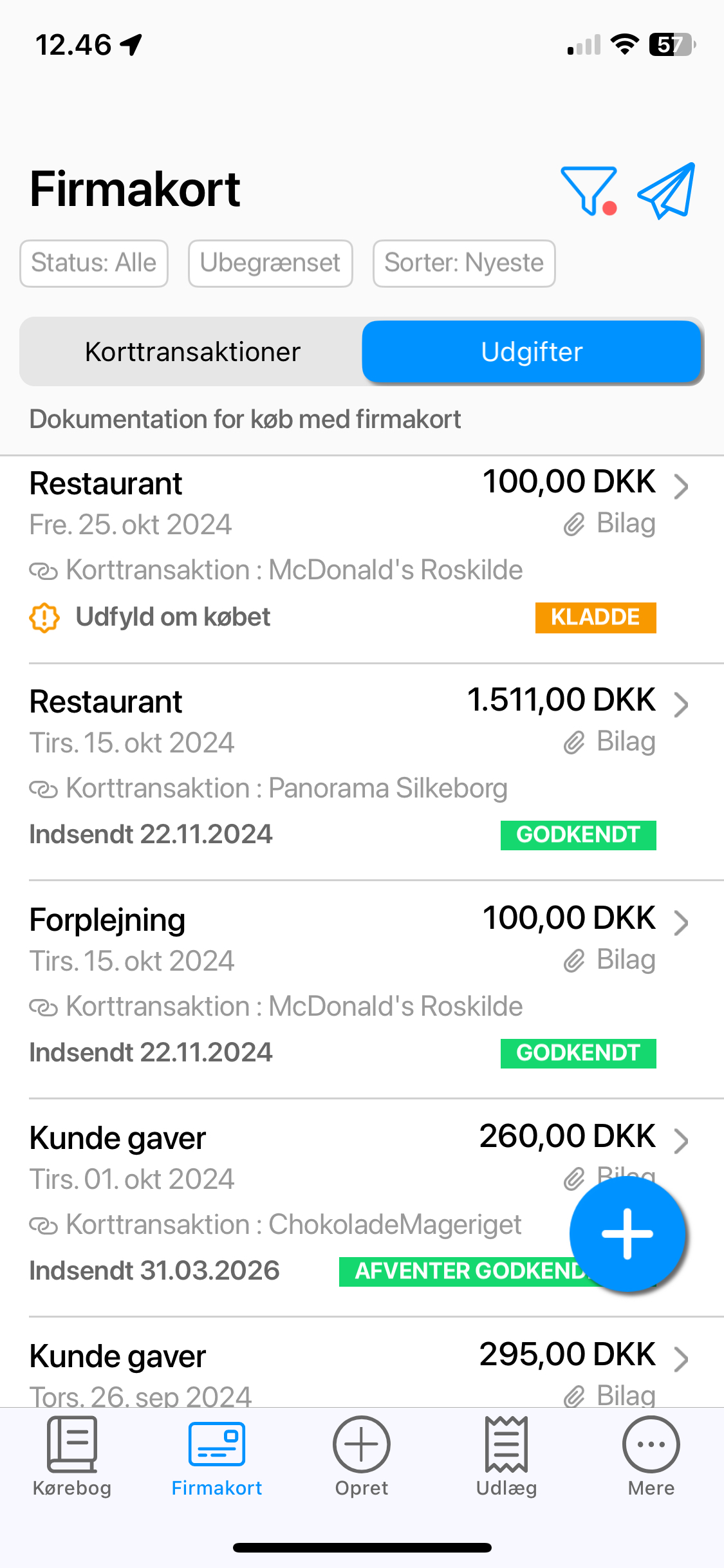 10 firmakort udgifter med ændret filter.jpg